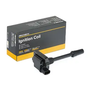 689C0204 RIDEX