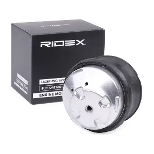 247E0213 RIDEX