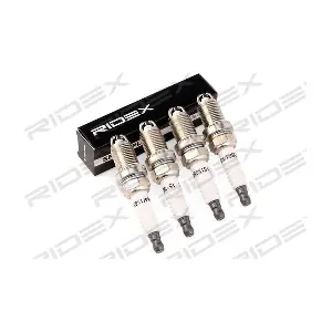 686S0306 RIDEX