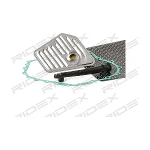 3843H0019 RIDEX