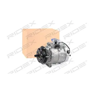 447K0419 RIDEX