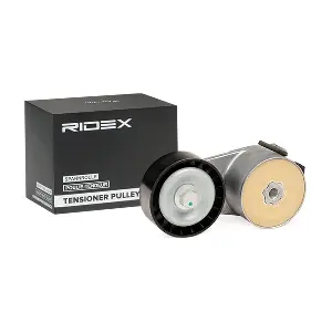 310T0045 RIDEX