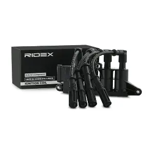 689C0290 RIDEX