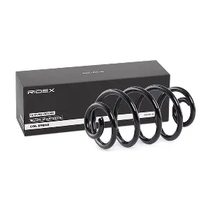 188C0237 RIDEX