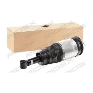 4118A0016 RIDEX