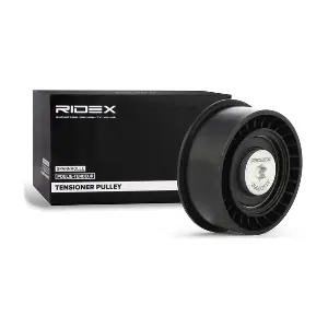 313D0062 RIDEX