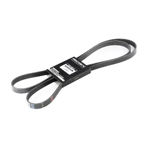 305P0112 RIDEX