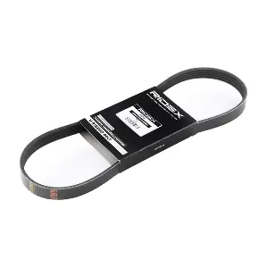 305P0218 RIDEX