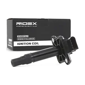 689C0021 RIDEX