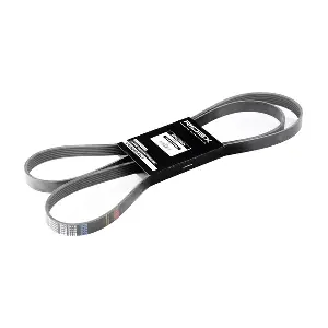 305P0119 RIDEX
