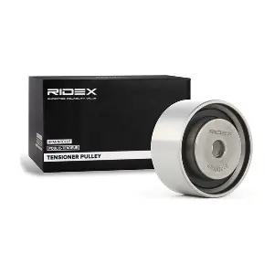 313D0027 RIDEX