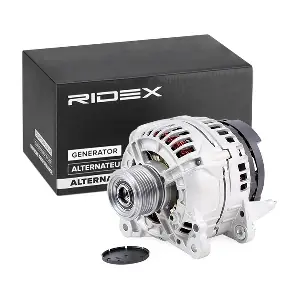 4G0006 RIDEX
