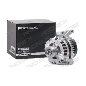 4G0976 RIDEX