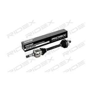 13D0051 RIDEX