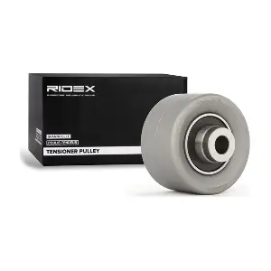 313D0074 RIDEX