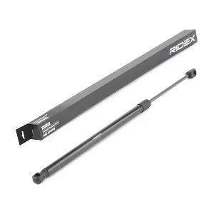 219G0693 RIDEX