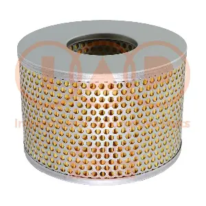 121-09010 IAP QUALITY PARTS