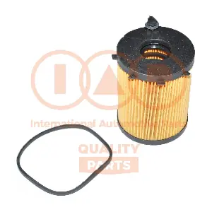 123-11021 IAP QUALITY PARTS