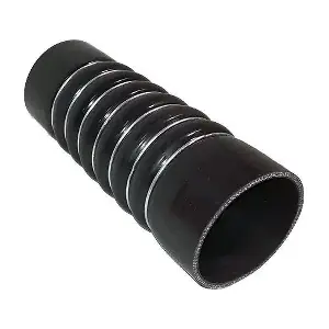 HD 19090 HD
