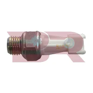 BREL5111 BOTTO RICAMBI