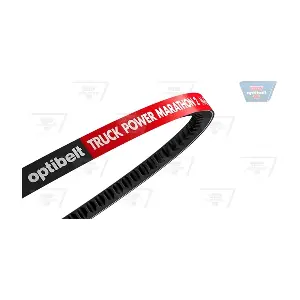 AVX 13 x 700 TM OPTIBELT