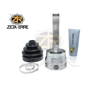 NI509 ZETA-ERRE