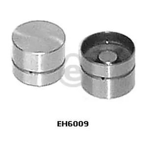 EH6009 EUROCAMS
