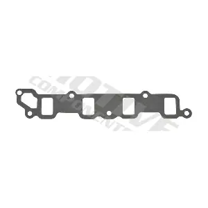 MGF009 MOTIVE
