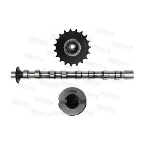 T4001 MOTIVE