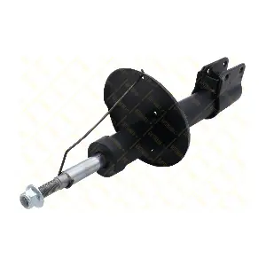 AMT156 GUTTMANN
