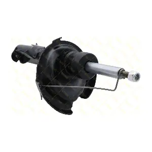 AMT334 GUTTMANN