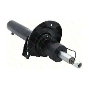 AMT108 GUTTMANN