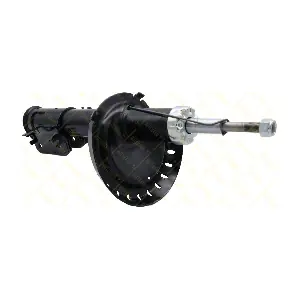 AMT316 GUTTMANN