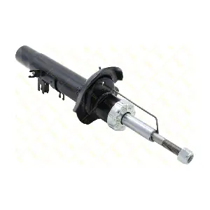 AMT106 GUTTMANN