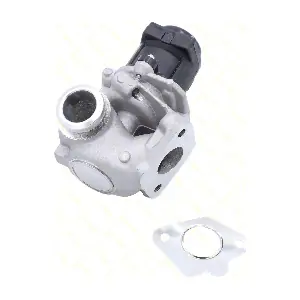 VGEGR1 GUTTMANN