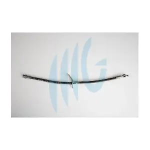 02160943 RICAMBIFLEX GM