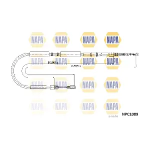 NPC1089 NAPA