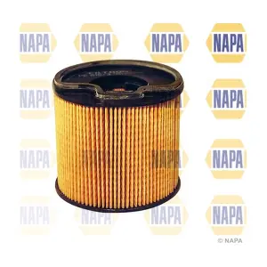 NFF2023 NAPA