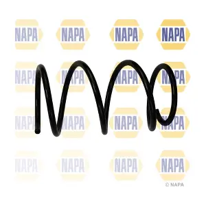 NCS1918 NAPA