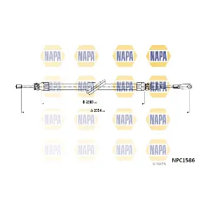 NPC1586 NAPA
