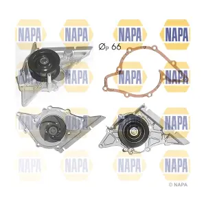NWP1029 NAPA
