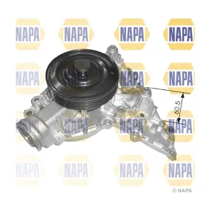 NWP1338 NAPA