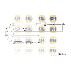 NPC1598 NAPA