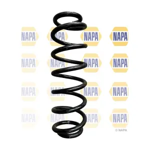 NCS1955 NAPA