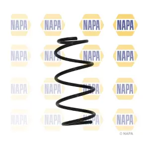 NCS1606 NAPA