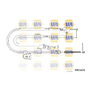 NPC1272 NAPA