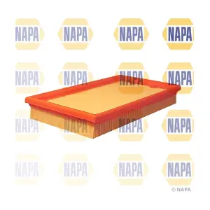 NFA1149 NAPA
