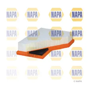 NFA1198 NAPA