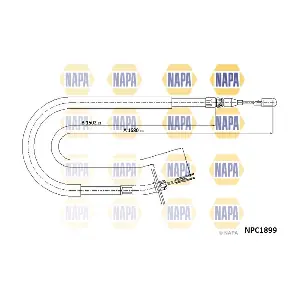 NPC1899 NAPA