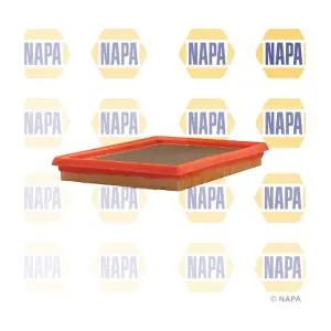 NFA1013 NAPA